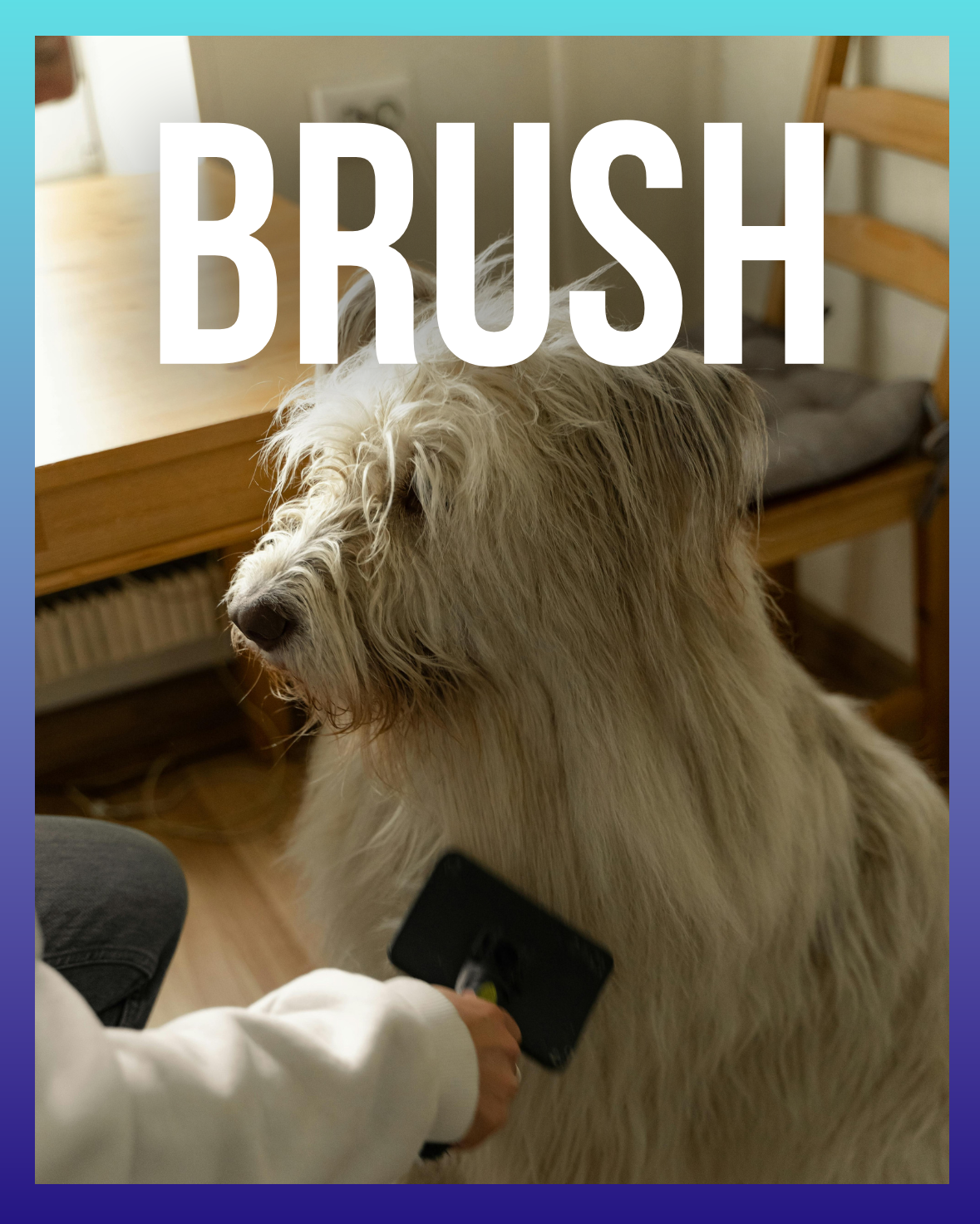 BRUSH
