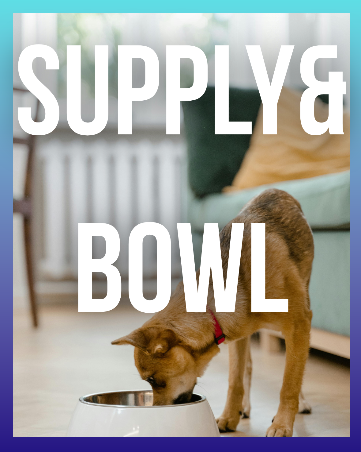 SUPPLY&BOWL